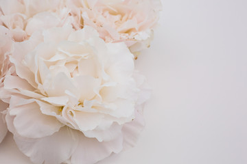 pink flowers bouquet in white background