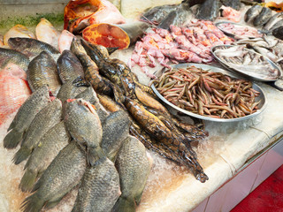 Fine selection for dinner, Fresh fish and seafood on ice counter background in supermarket.