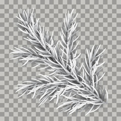 White Frozen Fir Twig Transparent