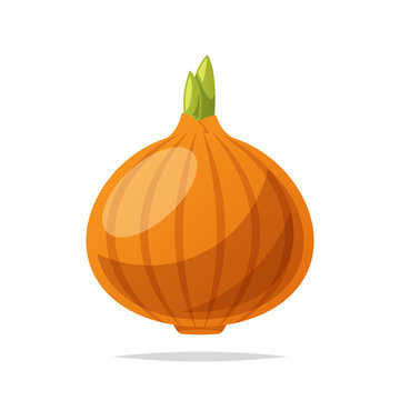 orange onion with green sprouts clip art preview