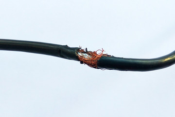 Damaged black electric cord on white background. Dangerous broken power electrical cable