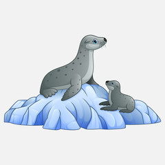 Cartoon Seal lion on ice the floe  © ekyaky