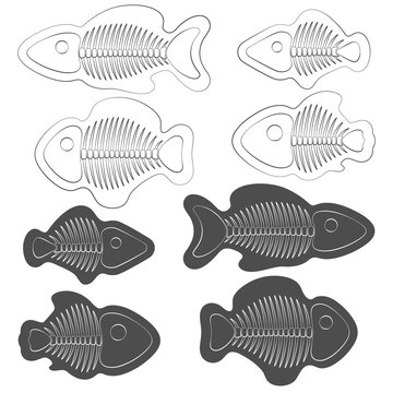 Set of black and white illustrations of fish with skeletons. Isolated vector objects on white background.