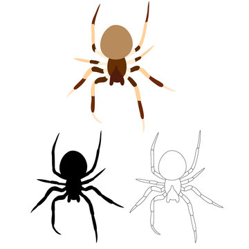 set of insects, spider, sketch and silhouette