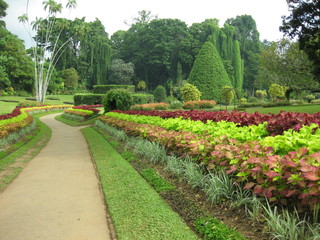 Fototapeta premium Sri Lanka