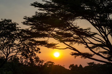 Silhouette of the sunset background, pattern, blurred