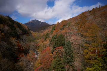 八ヶ岳の紅葉
