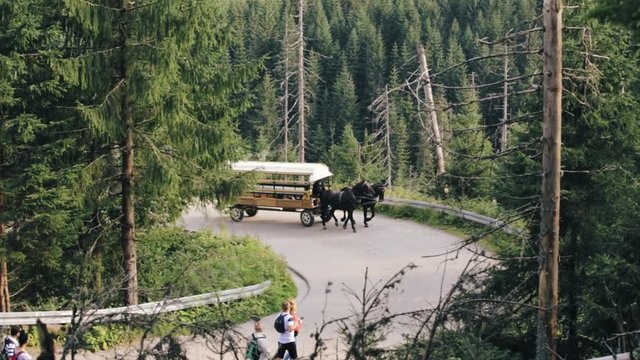 Tatra National Park, Poland. People In National Traditional Polish Folk Ethnic Costumes Ride A Cart Harnessed By A Pair Of Horses Along A Mountain Road