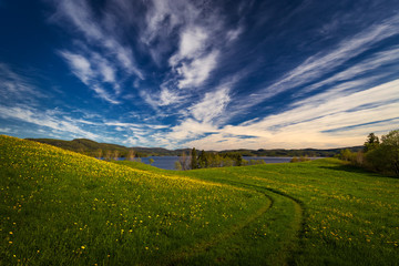 Flowering meadows by Jonsvatnet lake, Norway.
