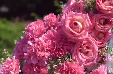Nice pink flower background