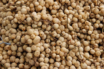 Many small longan fruits are on the Asian market stall