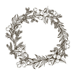Decorative wreath made of branches and cones of pine and spruce trees hand drawn with contour lines. Winter background. Monochrome realistic vector illustration. Template greeting card with pine tree