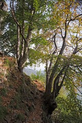 Fototapeta premium Panoramic view of the towers and spiers of the southern Grigna from the direct route, on a sunny autumn day.