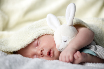 Newborn baby boy with rabbit toy on white carpet closeup. Motherhood and new life concept