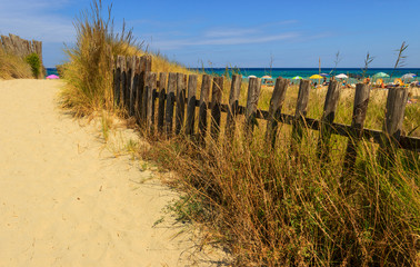 Fence between sea dunes in Apulia,Italy. The Regional Natural Park Dune Costiere (Torre Canne) covers the territories of Ostuni and Fasano along eight kilometers of coastline.