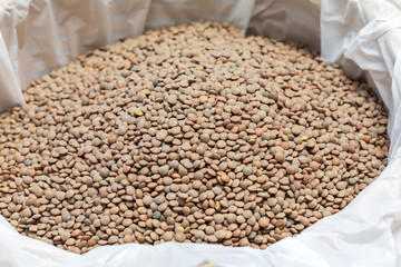 Raw lentils in bulk (sale of legumes)