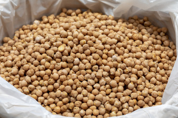 Raw chickpeas in bulk (sale of legumes)