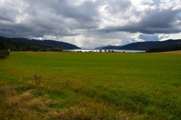 Fototapeta premium Loch Ness
