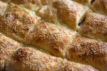 traditinal turkish pastry, borek with cheese