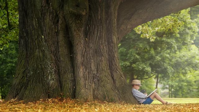 Boy wearing hat sitting under huge tree flipping through pages of book. Kids education concept footage.