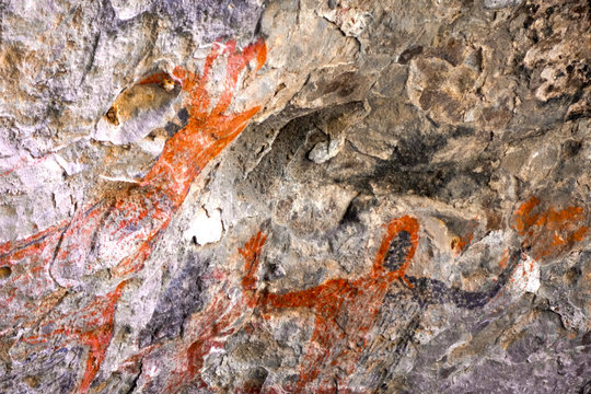 Close up of the UNESCO-listed ancient cave paintings of animals and humans in ochre and black at Cueva del Raton in the Sierra de San Francisco mountains near San Ignacio, Baja California Sur, Mexico