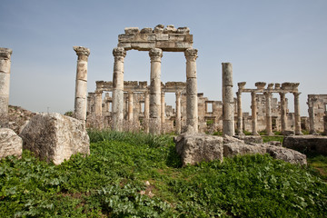 Fototapeta na wymiar Ruins of the ancient dead city Apamea (Afamia). Syria before the war