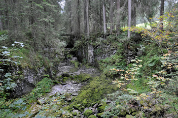 Obraz premium schwarzwasserbach im kleinwalsertal, trockenes bachbett