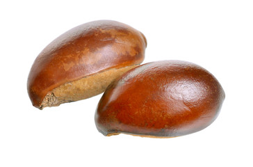 Two nuts Vitellaria paradoxa , commonly known as shea tree or sh