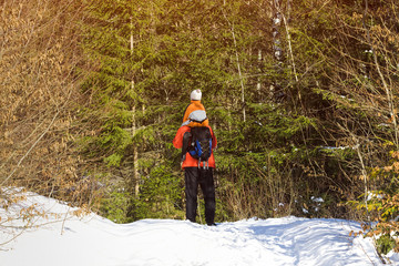 Man with backpack and son on shoulders stands against the background of coniferous trees in the forest. Winter day. View from the back. Close-up