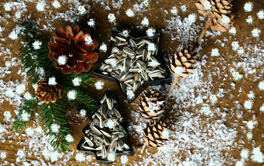 advent sonnenblumenkerne im schnee