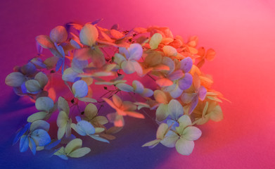 abstract floral background with flowers