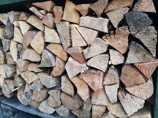 Piles of logwood