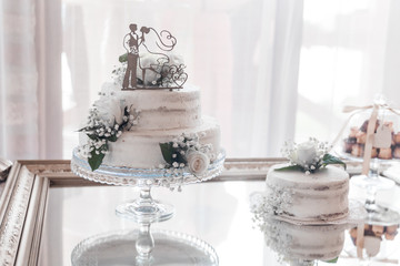 Wedding cake of the bride and groom, wedding day
