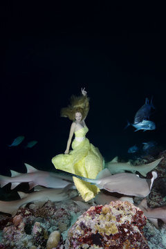 Night dance with sharks. Young beautiful woman in yellow dress dancing underwater with Tawny Nurse Sharks (Nebrius ferrugineus), night shooting in Indian Ocean on Maldives