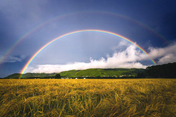 Rainbow over field with blue sky and clouds