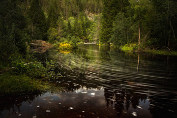 Flowing forest river in Norway.
