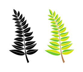 Fototapeta premium vector black and green silhouette of a branch with leaves. design element. Hand draw plant and tree branches with leaves. floral silhouettes. botanical illustration.