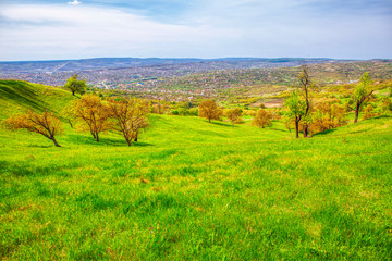 Obraz premium green valley and town