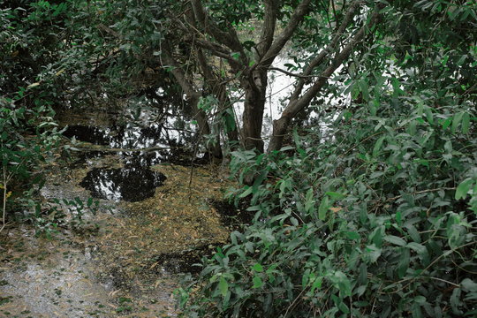 「キリングフィールド」の写真素材 124件の無料イラスト画像 Adobe Stock