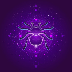 Vector illustration with hand drawn spider tarantula and Sacred geometric symbol against the starry sky. Abstract mystic sign.
