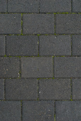 Fototapeta premium Gray pavement with green moss