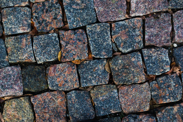 Old paving tiles with autumn leaves