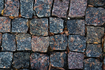 Old paving slabs in autumn