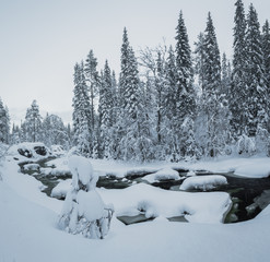 Fototapeta na wymiar Deep fresh snow in norwegian forest. Boreal landscapes in winter scenery.