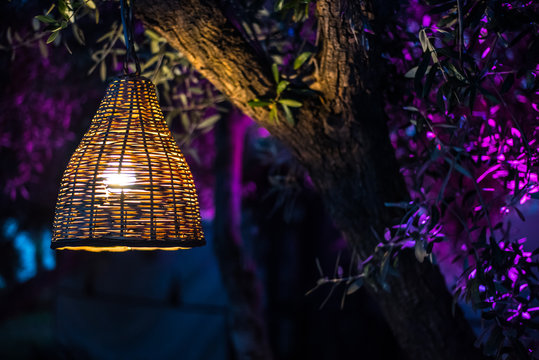 Bamboo lampshade in colorful lighting tree