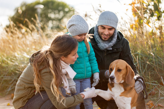family, pets and people concept - happy mother, father and little daughter with beagle dog outdoors in autumn