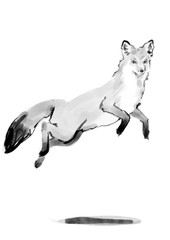 Fototapeta premium Ink isolated fox over white background 