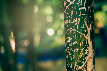 Bamboo stalk with love messages