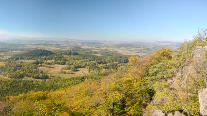 Fototapeta na wymiar Panoramic view with autumn beech forest on a hillside