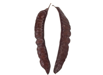 seeds isolated on white background